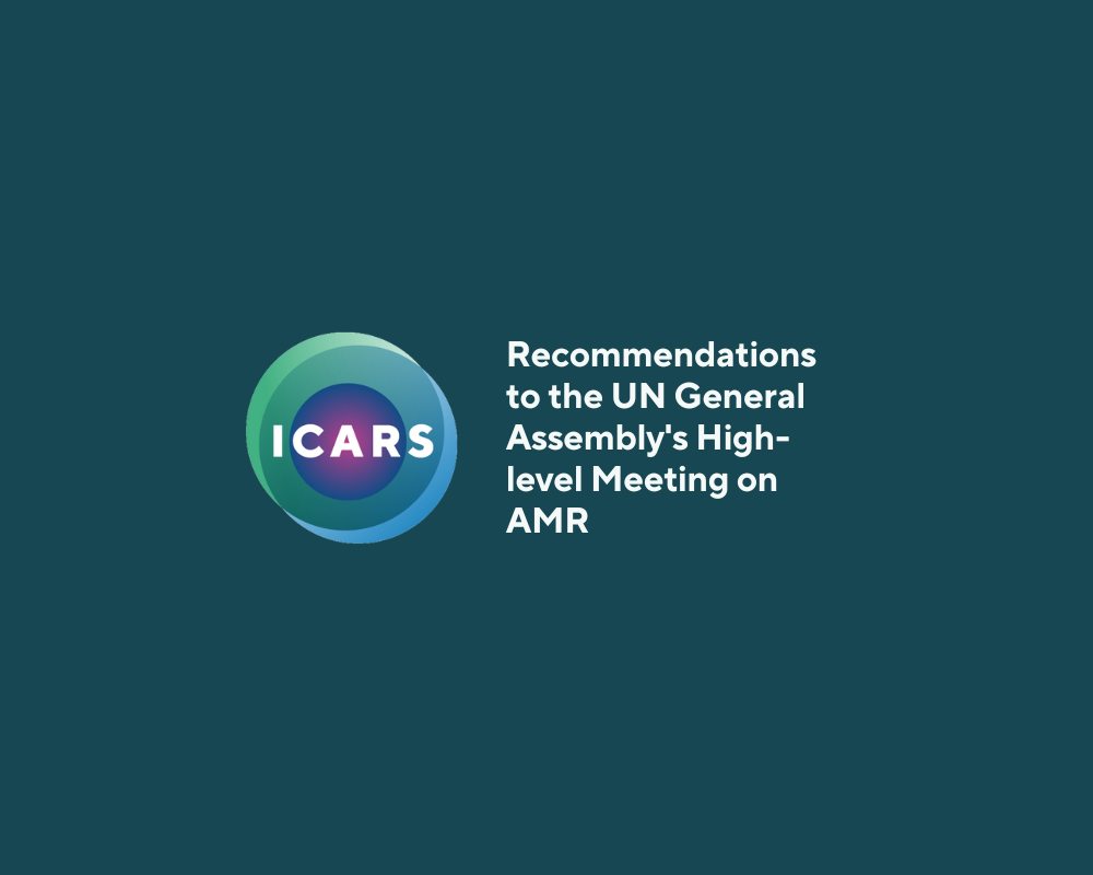 ICARS' to the UN General Assembly's Highlevel Meeting